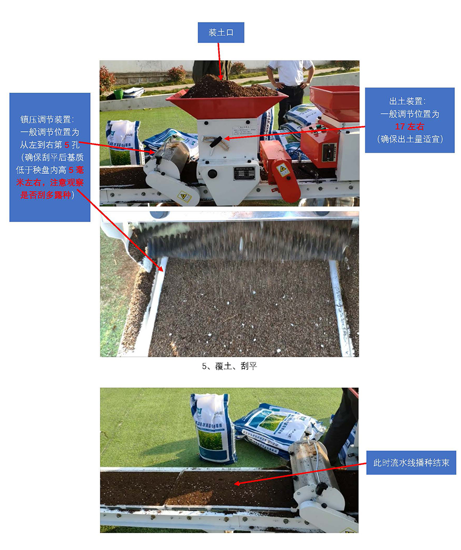 1725333691839797.jpg 云馬--油菜毯狀苗育苗技術(shù)流程_頁面_4.jpg