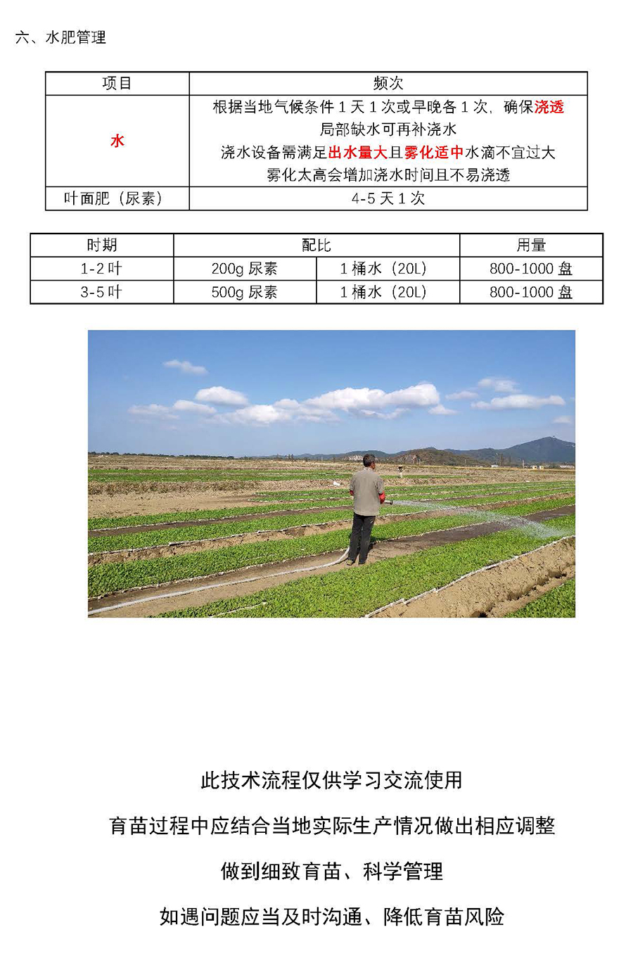 1725333706429909.jpg 云馬--油菜毯狀苗育苗技術(shù)流程_頁面_6.jpg